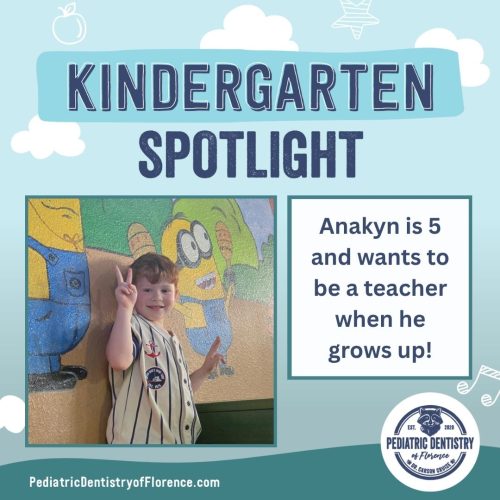Anakyn 2026